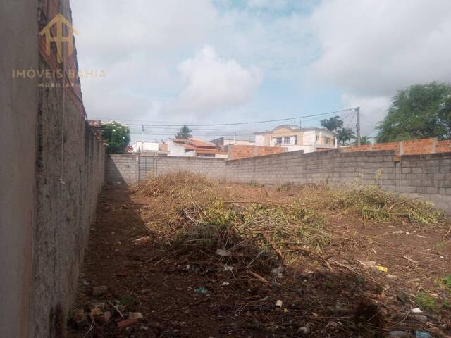 Terreno para Venda em Feira de Santana - 5