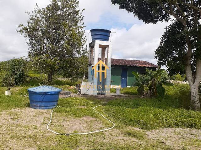 #71 - Chácara para Venda em Irará - BA - 3