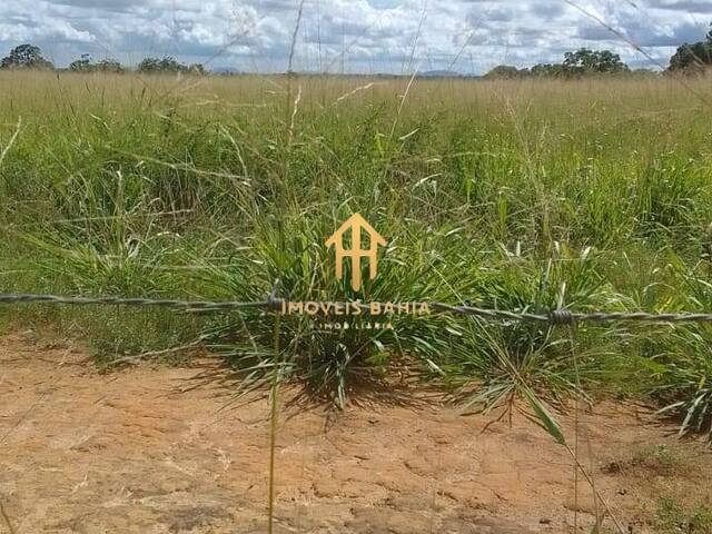#86 - Chácara para Venda em Coração de Maria - BA - 2