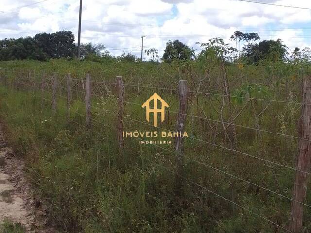 #91 - Terreno para Venda em Coração de Maria - BA - 1
