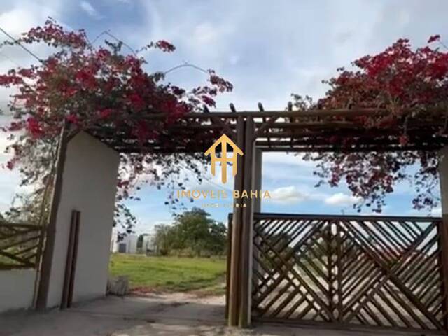 #99 - Área para Venda em Coração de Maria - BA - 2