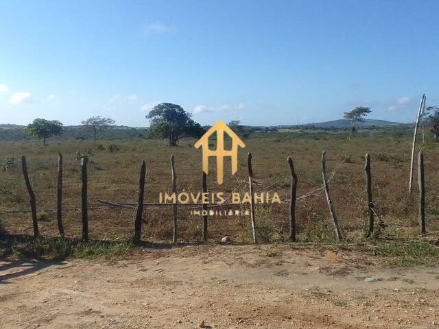 #134 - Fazenda para Venda em Coração de Maria - BA - 3