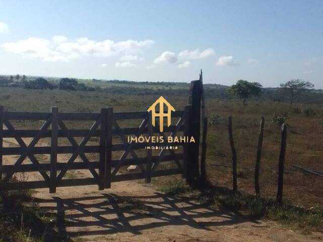 #134 - Fazenda para Venda em Coração de Maria - BA - 2