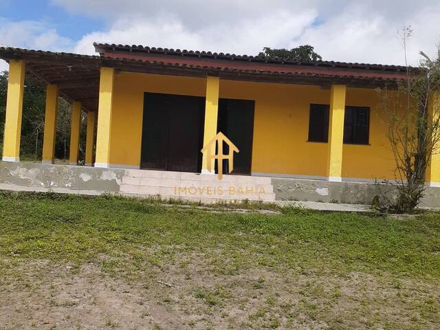 #173 - Chácara para Venda em Irará - BA - 2