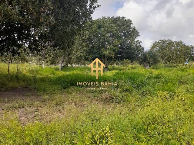 #174 - Terreno para Venda em Coração de Maria - BA - 3