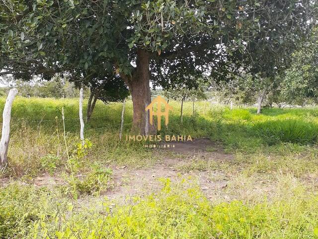#174 - Terreno para Venda em Coração de Maria - BA - 2