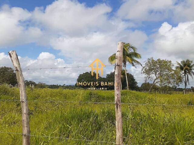 Terreno para Venda em Coração de Maria - 5
