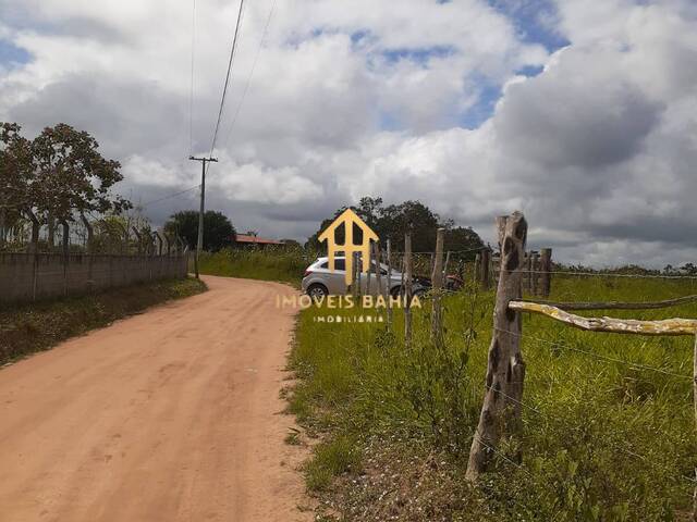 Terreno para Venda em Coração de Maria - 4