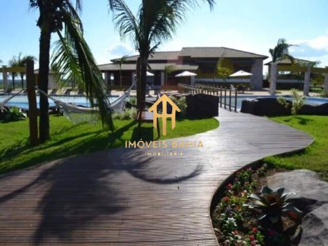 #203 - Área para Venda em Conceição do Jacuípe - BA - 2