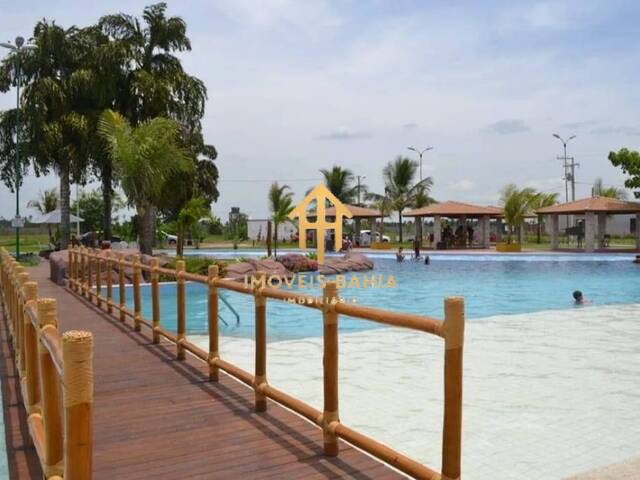 #203 - Área para Venda em Conceição do Jacuípe - BA - 3