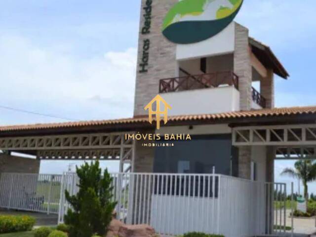 #203 - Área para Venda em Conceição do Jacuípe - BA - 1