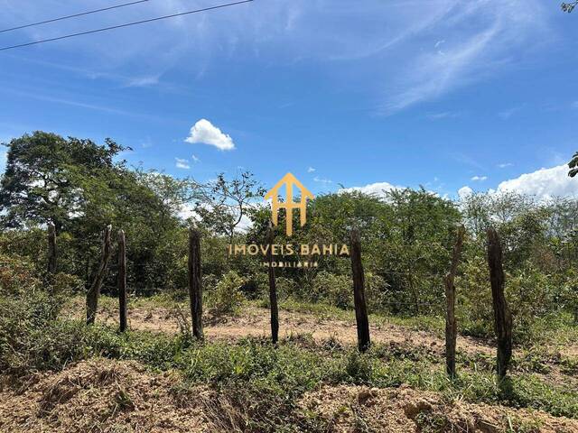 #211 - Terreno para Venda em São Gonçalo dos Campos - BA - 1