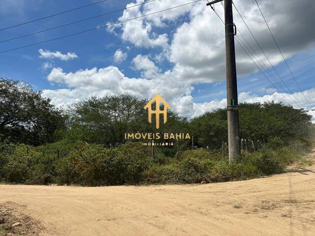 #211 - Terreno para Venda em São Gonçalo dos Campos - BA - 3