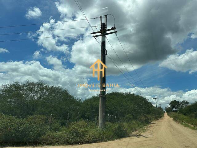 para em - 4