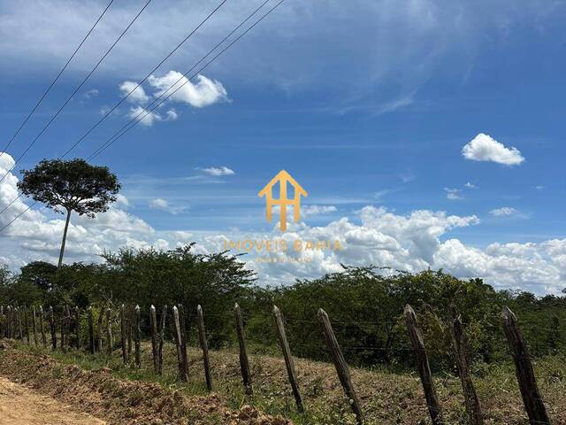 #211 - Terreno para Venda em São Gonçalo dos Campos - BA - 2