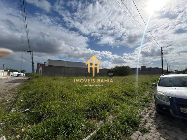 #222 - Área para Venda em Feira de Santana - BA - 3