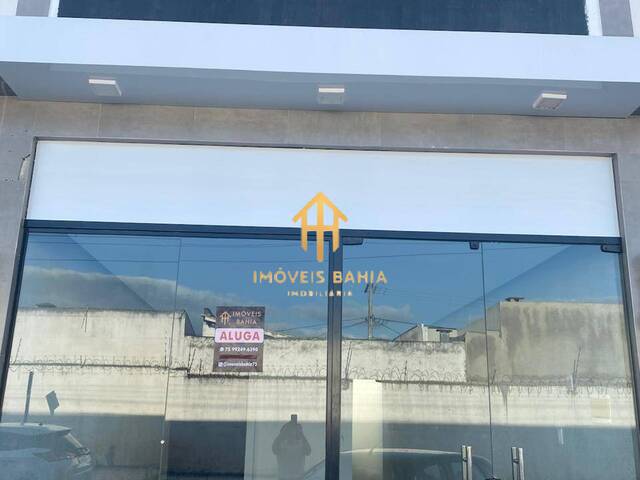 #264 - Sala para Locação em Feira de Santana - BA - 3
