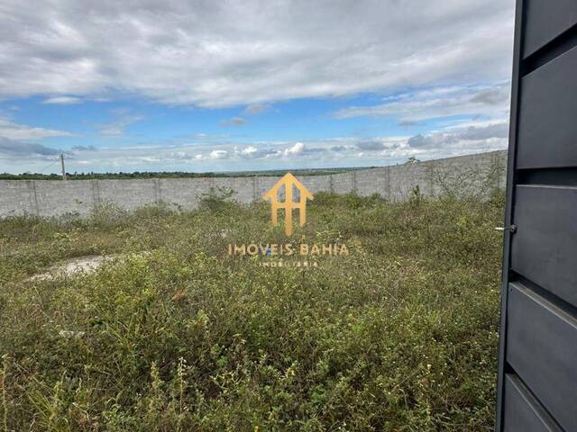 #277 - Chácara para Venda em Coração de Maria - BA - 2
