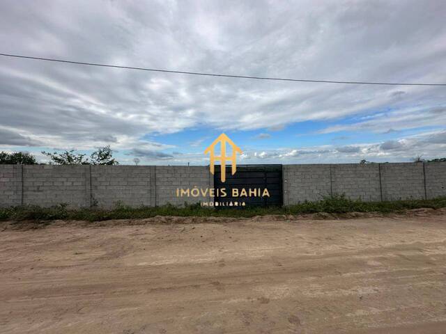  para  em  - 4