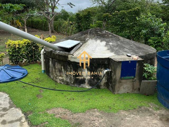 #306 - Chácara para Venda em Coração de Maria - BA - 3