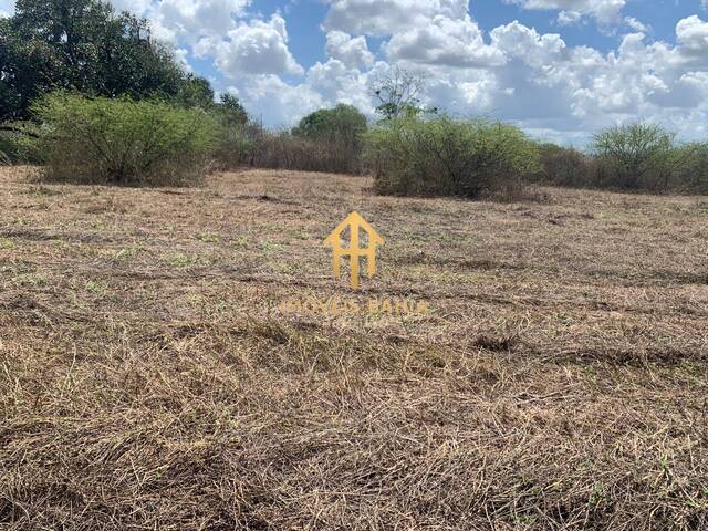 #308 - Área para Venda em São Gonçalo dos Campos - BA - 2