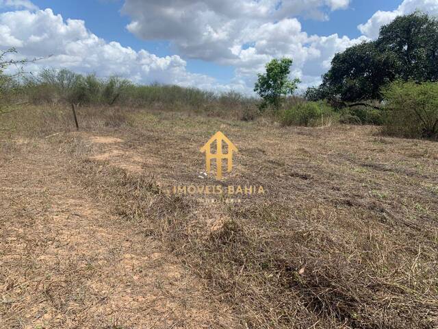 #308 - Área para Venda em São Gonçalo dos Campos - BA - 3