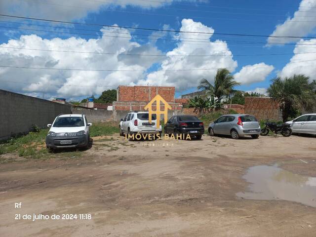 #318 - Área para Venda em Feira de Santana - BA - 1