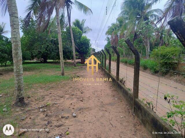 #327 - Área para Venda em São Gonçalo dos Campos - BA - 3