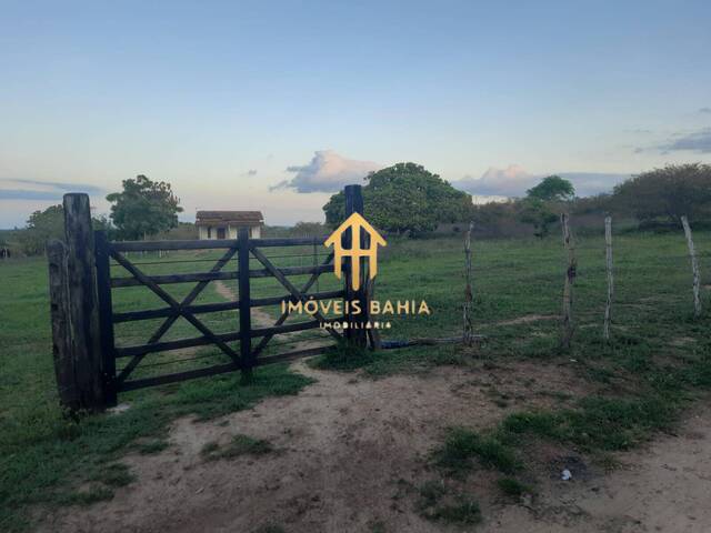 #344 - Chácara para Venda em Feira de Santana - BA - 1