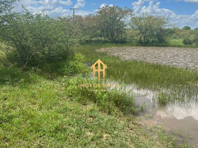 #344 - Chácara para Venda em Feira de Santana - BA - 3