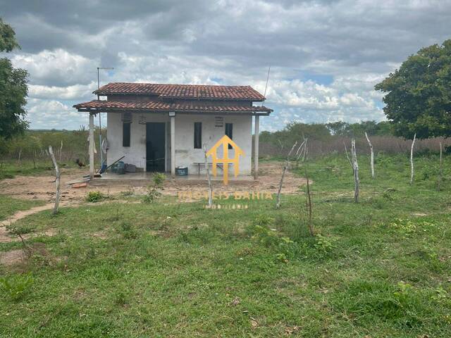 #344 - Chácara para Venda em Feira de Santana - BA - 2