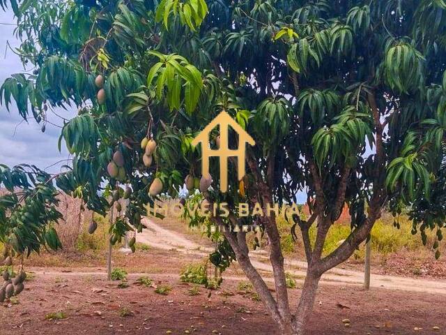 Apartamento para Venda em Coração de Maria - 4