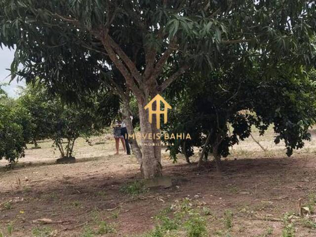 Apartamento para Venda em Coração de Maria - 5