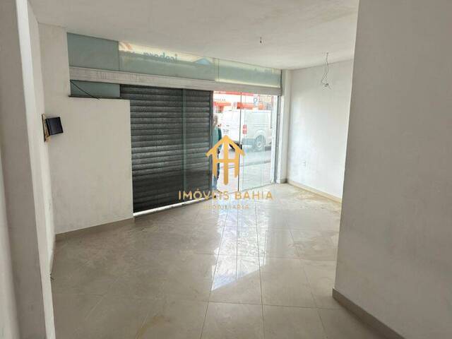 #223 - Casa para Locação em Feira de Santana - BA - 3