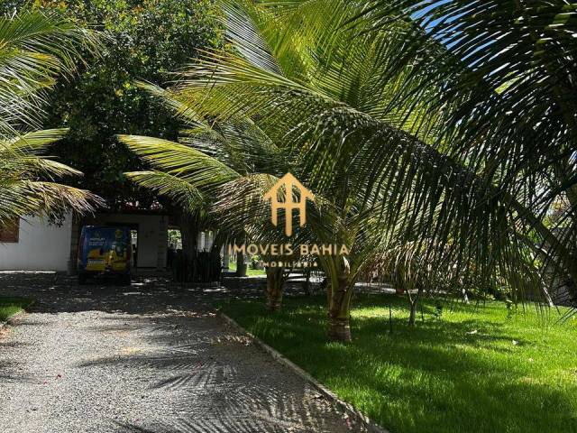#150 - Chácara para Venda em Feira de Santana - BA - 3