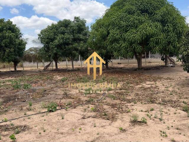 #426 - Chácara para Venda em Coração de Maria - BA - 3