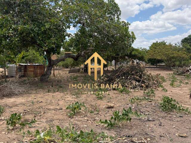 #426 - Chácara para Venda em Coração de Maria - BA - 2