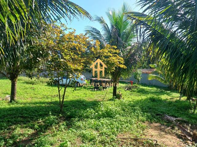 #466 - Chácara para Venda em Amélia Rodrigues - BA - 2