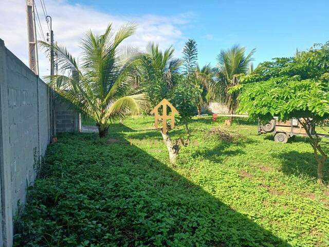 #466 - Chácara para Venda em Amélia Rodrigues - BA - 3