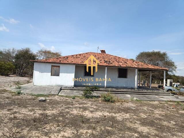 #506 - Chácara para Venda em Morro do Chapéu - BA - 2