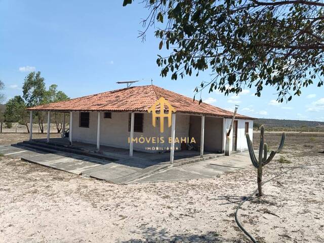 #506 - Chácara para Venda em Morro do Chapéu - BA - 3